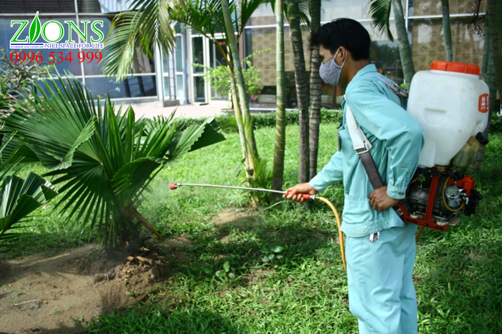 Phun thuốc trừ sâu cho sân vườn biệt thự